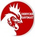 logo_derycke_savimat